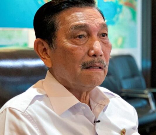 Indonesia close to EV deals with BYD Group and Tesla – minister