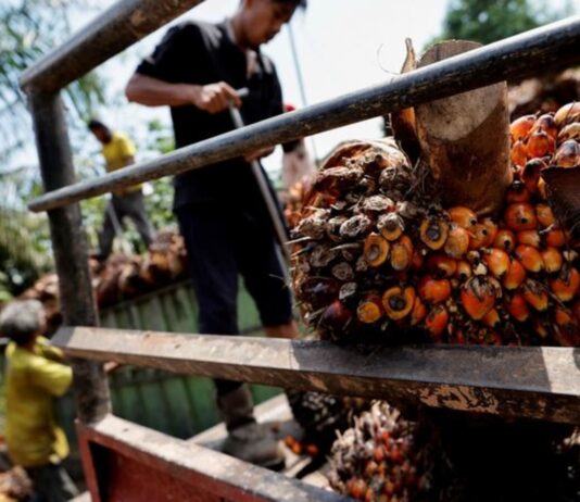 Indonesia to set Jan 16-31 palm oil reference price at $920.57/T -official
