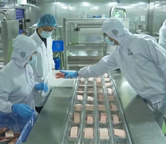 Refreshed road map for wholesale sector to boost tech adoption, global footprint