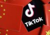 Belgium bans TikTok from federal government work phones