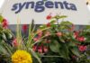 Syngenta shifts IPO application to main board of Shanghai stock exchange