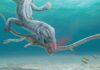 Fossils show ancient long-necked sea beast’s ‘gruesome’ decapitation