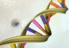 Google AI tool predicts danger of genetic mutations