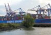 China’s COSCO halts shipping to Israel: Israeli media