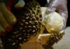 China’s durian market ripens as Thailand loses ground, Vietnam and Philippines get a taste