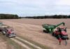USDA confirms first big US soy sale to China since mid-December