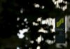 Japan’s SMBC hires former Credit Suisse China boss Stoehr