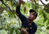 Neumann Kaffee to expand in Indonesia as coffee market grows