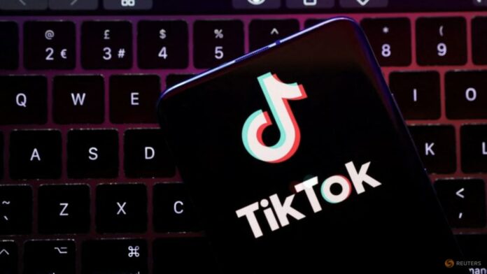 US senator raises concerns about Biden campaign joining TikTok