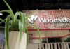 Woodside Energy inks long-term LNG supply deal with South Korea