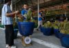 Heatwave hammers Thailand’s lucrative durian farms