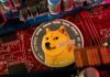 Kabosu, the face of cryptocurrency Dogecoin, dies at 18, owner says