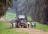 Malaysian carbon exchange to host first local carbon credit auction in July
