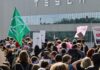 Tesla gets local council go-ahead for German factory expansion
