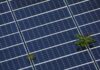 White House moves to protect US solar manufacturers from Chinese competition