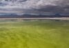 Lilac Solutions releases lithium extraction data amid rising competition