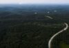Louis Dreyfus to expand Indonesia palm oil refining business, executive says