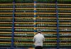 Riot Platforms withdraws offer for rival Bitfarms, seeks three board seats