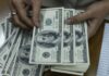 Dollar treads water after tame US inflation report, yen rally stalls