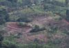 Some G20 financial regulators overlooking risks linked to nature loss, watchdog says
