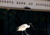 Australia’s RBA to prioritise wholesale CBDC work over retail