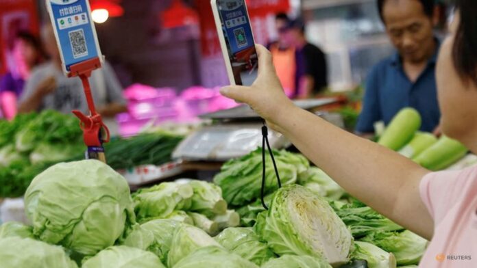 China's consumer prices rise in August, PPI stuck in deflation