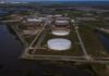 Oil steadies ahead of key US jobs report