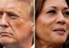 Workers at several large US tech companies overwhelmingly back Kamala Harris, data shows