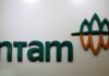 Indonesian miner Antam buys 30% stake in Tsingshan’s smelter