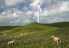 New Zealand, Cambodia cite political risks due to high energy transition costs