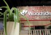 Woodside and Tokyo Gas in discussions over stake in US LNG project