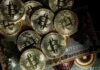 Cryptoverse: US election speculators play the prediction markets