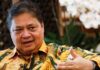 Indonesia chief econ minister confident palm oil production can be boosted