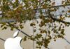 Apple plans manufacturing plant investment in Indonesia, minister says