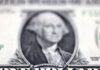 Dollar rebounds from inflation data drop, euro dips