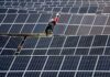 New US solar tariffs on Southeast Asia to raise prices, cut profit margins