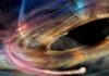 Intrepid white dwarf has a close encounter with a massive black hole