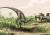 Where did dinosaurs first evolve? Scientists have an answer