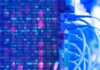 Singapore introduces guidelines to minimise disruptions to cloud services and data centres