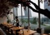 Japan’s service-sector mood sours on rising cost of living