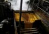 The end of cheap palm oil? Output stalls as biodiesel demand surges