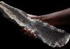 Tools made from elephant and hippo bones show ingenuity of human ancestors