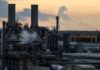 BASF’s agriculture arm eyes seeds and Asia as it prepares for listing