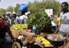 UN warns of ‘unsettling’ development slowdown in 2024