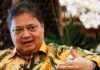 Indonesia offers US opportunity of critical minerals joint investment as part of tariff talks