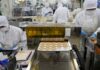 Japan’s service sector growth slows in May, PMI shows