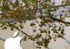Dutch watchdog postpones ruling on Apple fees on dating apps, awaits EU action