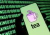 Women-only US dating advice app Tea suspends messaging following breaches