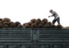 Malaysia’s palm oil stocks at highest in nearly 2 years, says MPOB