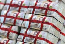 Thai baht could further strengthen on capital inflows, says incoming deputy finance minister